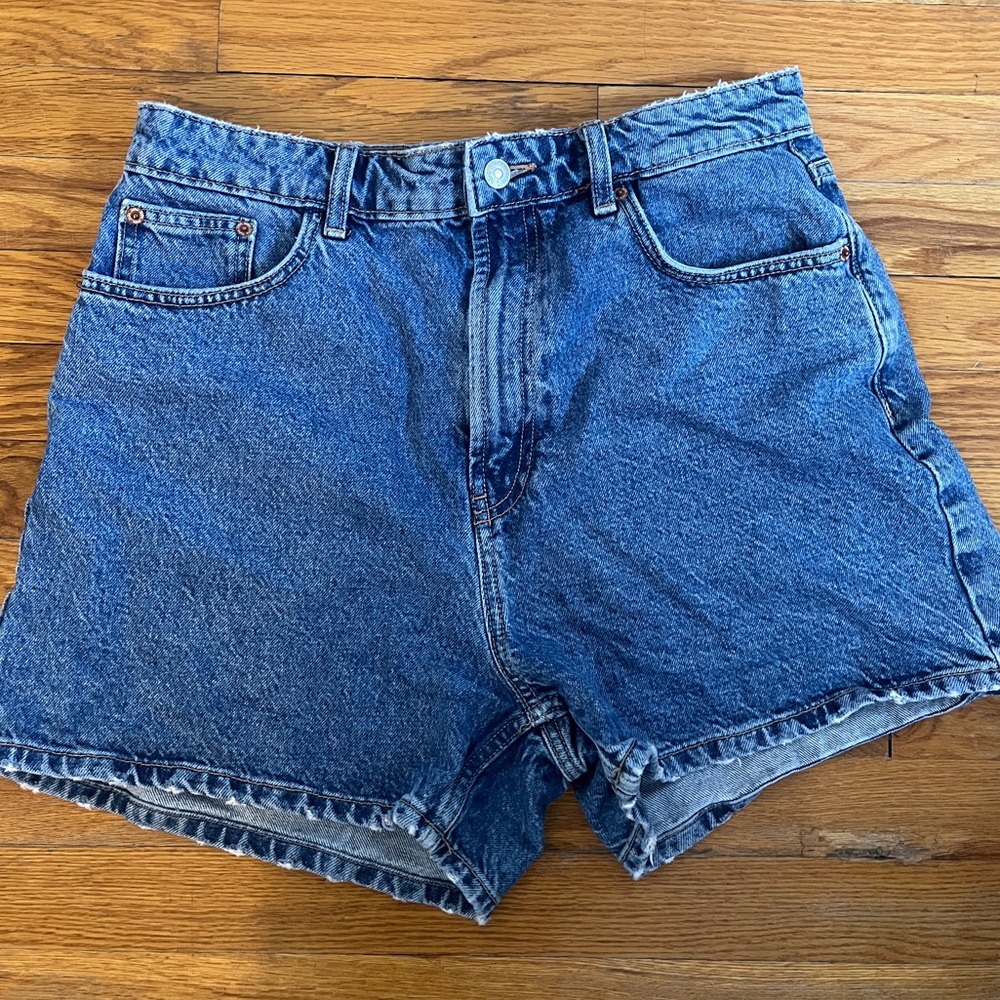 Zara Shorts